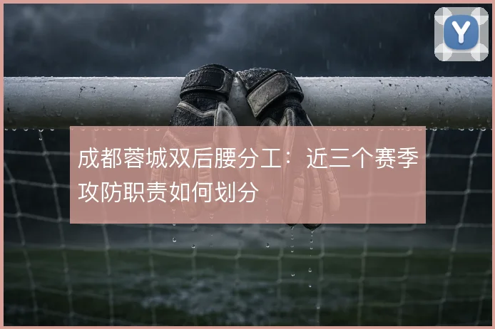 成都蓉城双后腰分工：近三个赛季攻防职责如何划分
