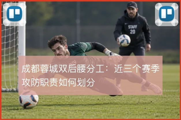 成都蓉城双后腰分工：近三个赛季攻防职责如何划分